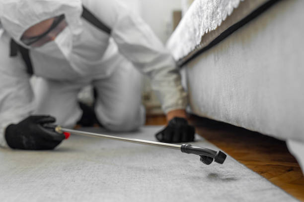 Professional Pest Control technician working in Autauga County County, AL
